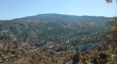 DAĞ YOLUNDA HAYATINI KAYBETTİ