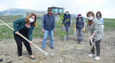 BOZKURT’TA TARIM HAMLESİ