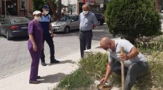 BULDAN’DA SOKAK HAYVANLARINI UNUTMADILAR