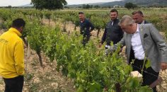 DENİZLİ VE İLÇELERİNİ VURAN DOLU ZARARA YOL AÇTI