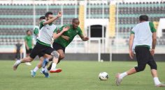 HOROZ ‘HAZIRIM’ MESAJINI VERDİ