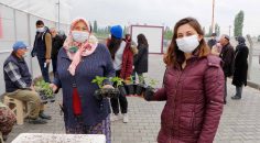 ONBİNLERCE YERLİ TOHUM VATANDAŞA DAĞITILDI