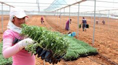 ÇAL’DA AKCAN’DAN ÜRETİM ÇAĞRISI