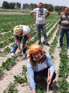 CHP’DEN ÇİFTÇİLER İÇİN ÇAĞRI