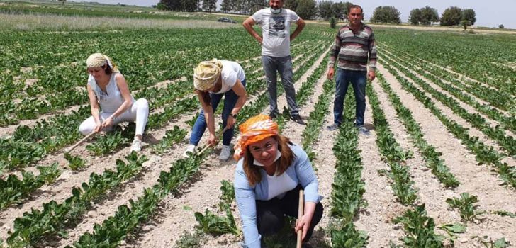 CHP’DEN ÇİFTÇİLER İÇİN ÇAĞRI