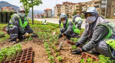 ÇİÇEKLER TOPRAKLA BULUŞUYOR