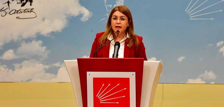 ﻿CHP’Lİ KARACA: DİPSİZ GÖL KATLİAMI VAR