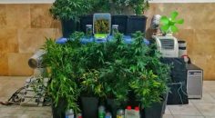 JANDARMA UYUŞTURUCU SATAN 2 KİŞİYİ YAKALADI