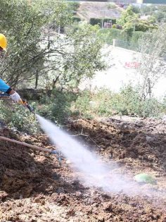 MERKEZEFENDİ HAŞERELERE SAVAŞ AÇTI