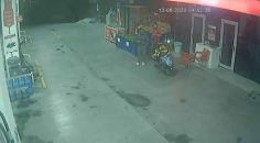 REFAKATÇİYKEN YAKAYI ELE VERDİ