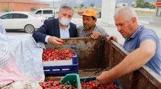 HONAZ’DA KİRAZ ÜRETİCİLERİNE DESTEK