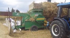 PATOZ MAKİNESİNE DÜŞEREK CAN VERDİ