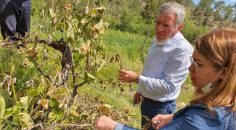 ÇİFTÇİYE KÖTÜ HABER