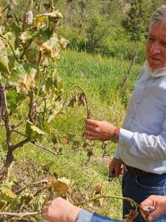 ÇİFTÇİYE KÖTÜ HABER