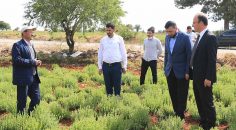 BAŞKAN ÖRKİ’DEN ÇİFTÇİLERE MORAL