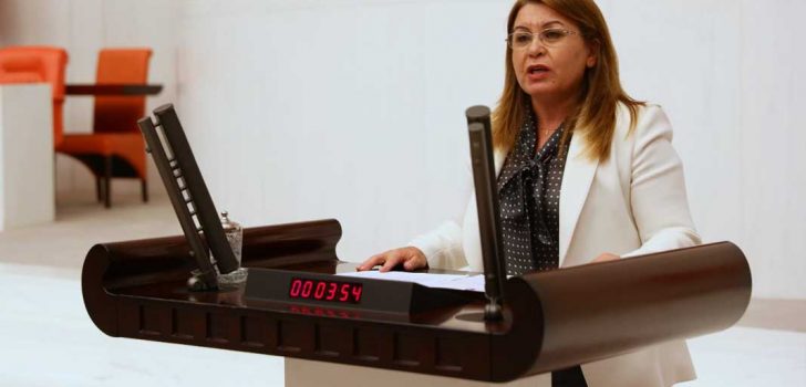 DENİZLİLİ ÇİFTÇİLERİN TALEPLERİ TBMM GÜNDEMİNDE!