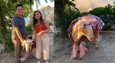 BULDAN’DA GELİN KOÇU’ GELENEĞİ UNUTULMADI