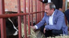 SÜT ÜRETİCİSİNE ÇİFTE BAYRAM!