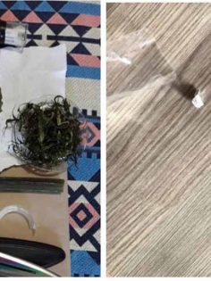 JANDARMA 20 TORBACIYI YAKALADI