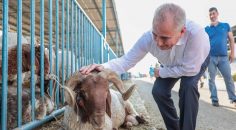 BAŞKAN ZOLAN CANLI HAYVAN PAZARINI İNCELEDİ