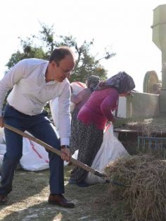 BAŞKAN ÖRKİ GÖZLER’DE ÇİFTÇİLERLE HASAT YAPTI