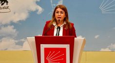 “FAİZ İLE BORÇLANARAK SU PARALARINI ÖDEYEN ÇİFTÇİYE SU YOK!”