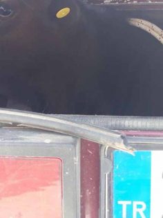 İKİ İLÇEDE HAYVANLARI ÇALANLAR YAKALANDI