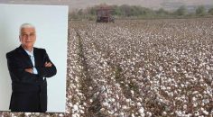 KEÇECİ, “PAMUK ÜRETİCİMİZE SAHİP ÇIKMALIYIZ”