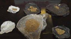 DENİZLİ’DE UYUŞTURUCU OPERASYONU: 15 TUTUKLAMA