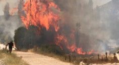 ÇAMELİ’DE EKİLİ ALANDA YANGIN ÇIKTI