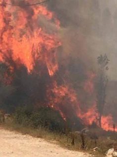 ÇAMELİ’DE EKİLİ ALANDA YANGIN ÇIKTI