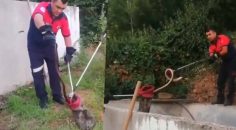 BAHÇEDEKİ YILAN PANİK YAŞATTI