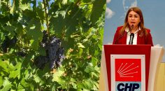 MİLLETVEKİLİ KARACA: ÇAL ÇİFTÇİSİNE REVA GÖRDÜLER