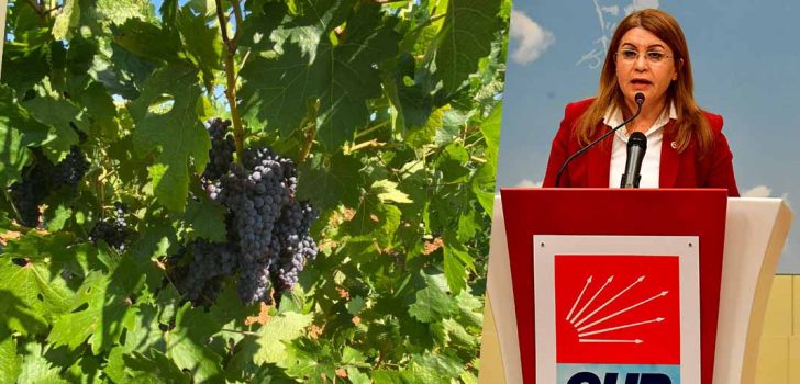 MİLLETVEKİLİ KARACA: ÇAL ÇİFTÇİSİNE REVA GÖRDÜLER