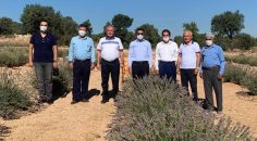 ERDOĞAN, ÜRETİCİLERİN HASAT SEVİNCİNE ORTAK OLDU