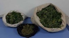 PAMUKKALE’DE UYUŞTURUCU OPERASYONU