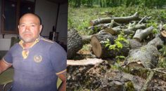 AĞAÇ KESERKEN ÜZERİNE KÜTÜK DÜŞEN ADAM ÖLDÜ