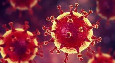 TABİB ODASI: DENİZLİ İÇİN TEHLİKE ÇANLARI ÇOKTAN ÇALIYOR