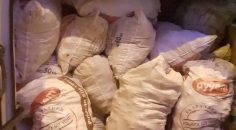 ÇİFTÇİNİN 1 YILLIK EMEĞİNİ ÇALACAKTI!