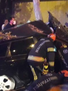 AĞACA ÇARPARAK DURABİLDİ: 2 YARALI