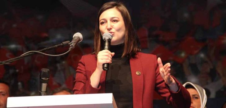 ÖZCAN: SAHİP ÇIKMAK HER VATAN EVLADININ GÖREVİDİR