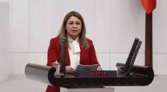 CEZAEVLERİ İLE İLGİLİ ÇİFTE ÖNERGE