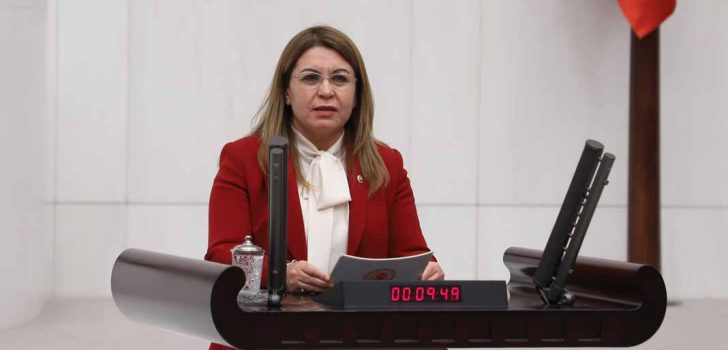 CEZAEVLERİ İLE İLGİLİ ÇİFTE ÖNERGE