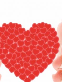 PAÜ: HERKESİ ORGAN BAĞIŞI’NA DAVET EDİYORUZ