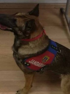 JANDARMA’DAN ORTAK UYUŞTURUCU OPERASYONU