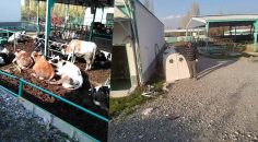 ÜRETİCİ 3 YIL AYAKTA KALABİLDİ ŞİMDİ İCRALIK