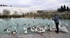 PAMUKKALE BELEDİYESİ HER ZAMAN GÖREVDE