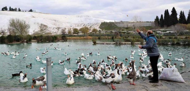 PAMUKKALE BELEDİYESİ HER ZAMAN GÖREVDE