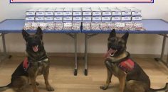 İLAÇ MÜMESSİLİ UYUŞTURUCU SATARKEN YAKALANDI