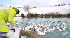 PAMUKKALE’DE BAYAT EKMEKLER ÇÖP OLMUYOR